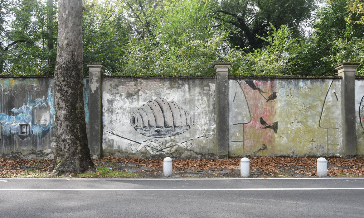 Reggio Emilia | FUORI PORTA - Raccontare le Periferie