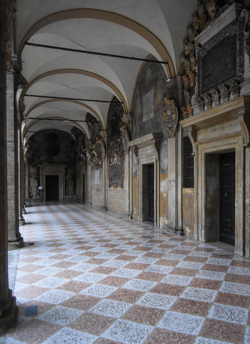 Visit the Archiginnasio Palace and Anathomical Theatre