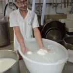 Barletta | Recorrido enogastronómico por Apulia