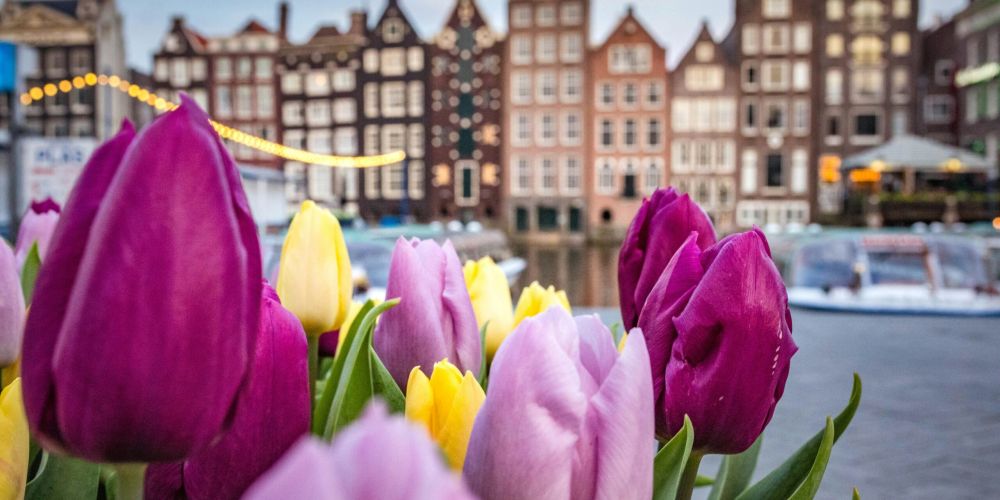 Tour Privato di Amsterdam in Italiano