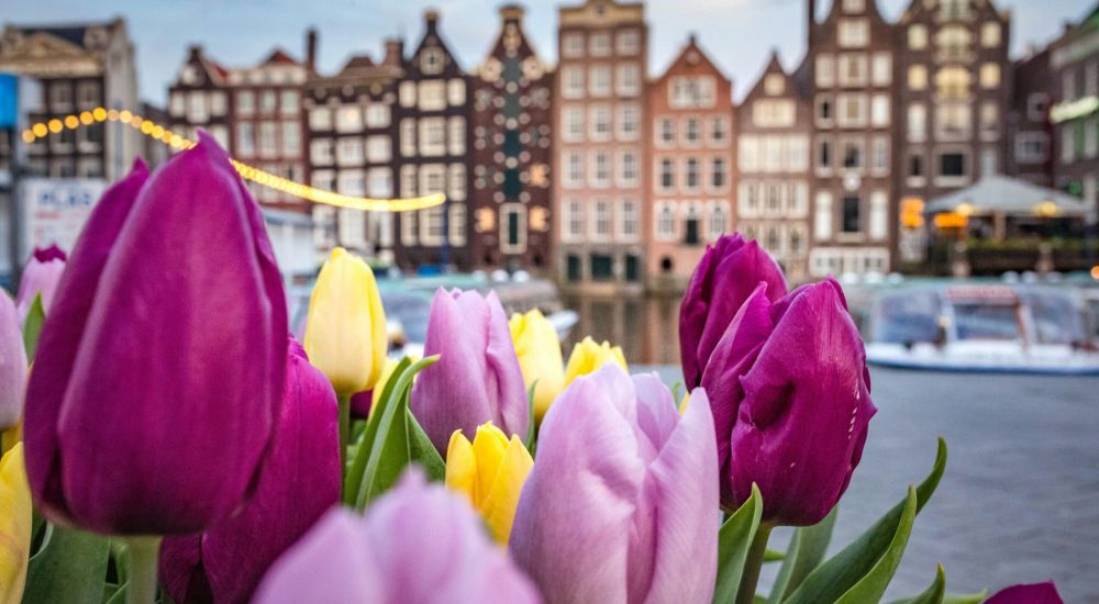 Private Amsterdam Walking Tour
