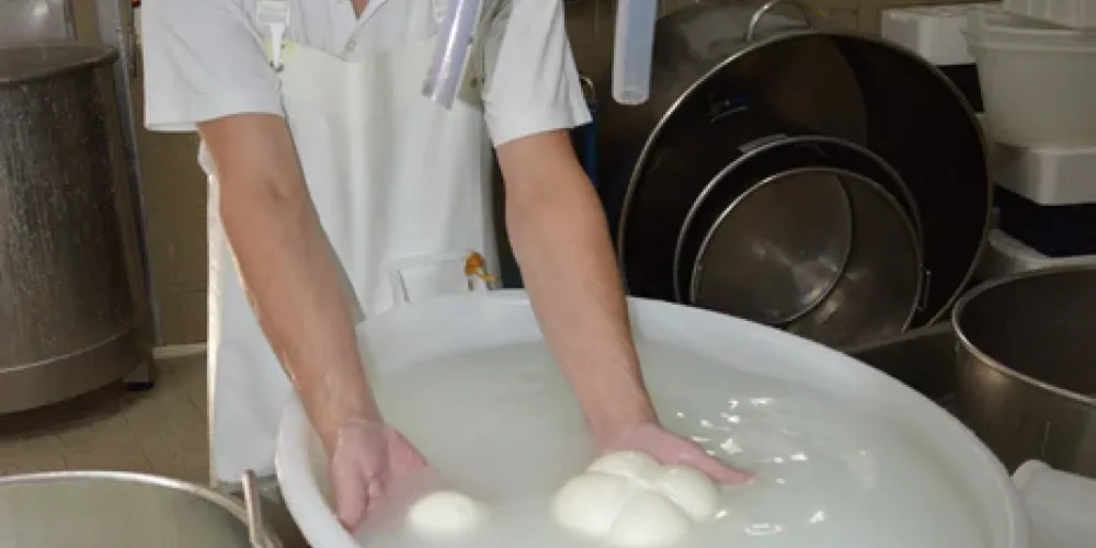 Barletta | Tour enogastronomico “Tipico” pugliese