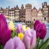 Private Amsterdam Walking Tour